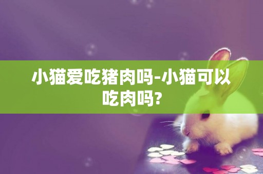 小貓愛吃豬肉嗎-小貓可以吃肉嗎?