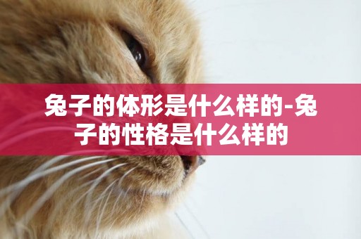 兔子的體形是什么樣的-兔子的性格是什么樣的