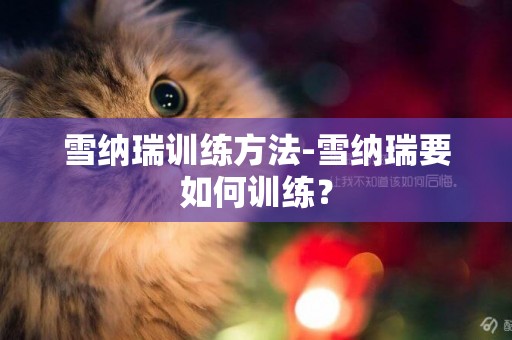 雪納瑞訓練方法-雪納瑞要如何訓練？
