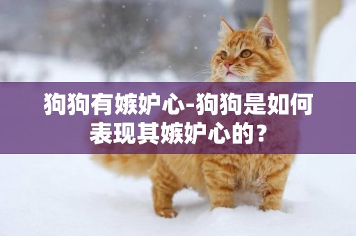 狗狗有嫉妒心-狗狗是如何表現其嫉妒心的？