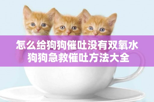 怎么給狗狗催吐沒有雙氧水 狗狗急救催吐方法大全