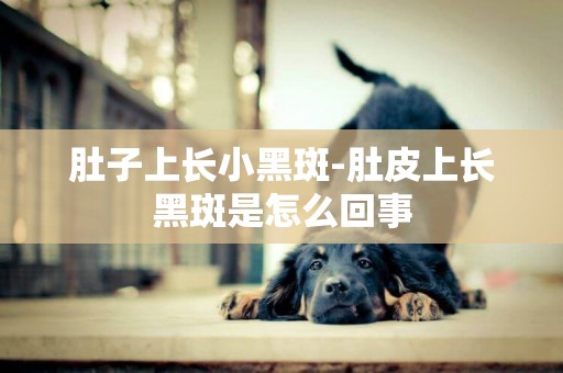 肚子上長小黑斑-肚皮上長黑斑是怎么回事