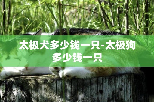 太極犬多少錢一只-太極狗多少錢一只