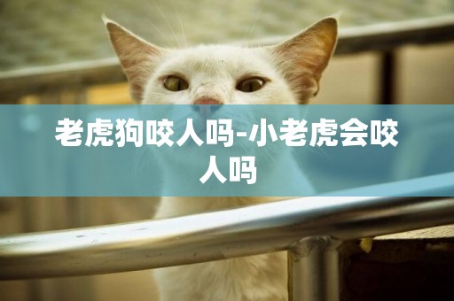 老虎狗咬人嗎-小老虎會咬人嗎