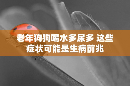 老年狗狗喝水多尿多 這些癥狀可能是生病前兆