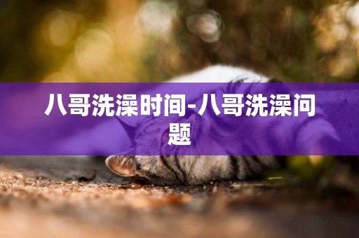 八哥洗澡時間-八哥洗澡問題