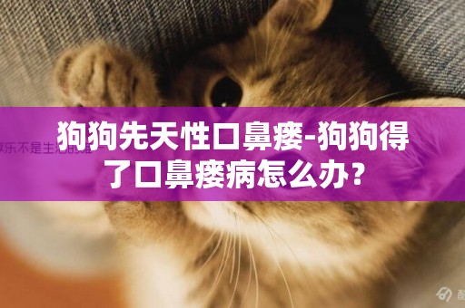 狗狗先天性口鼻瘺-狗狗得了口鼻瘺病怎么辦？