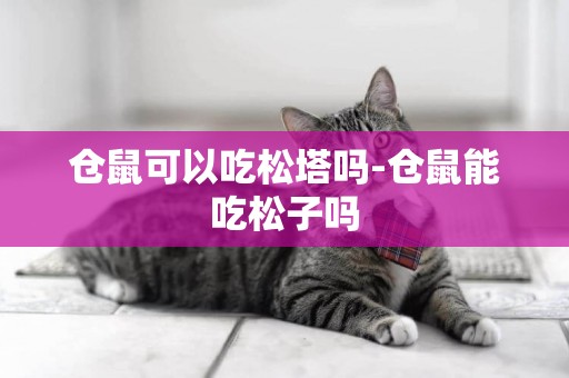 倉鼠可以吃松塔嗎-倉鼠能吃松子嗎