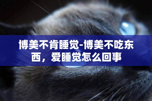 博美不肯睡覺-博美不吃東西，愛睡覺怎么回事