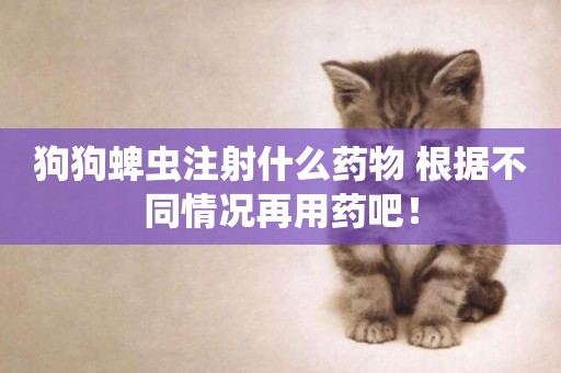 狗狗蜱蟲注射什么藥物 根據不同情況再用藥吧！