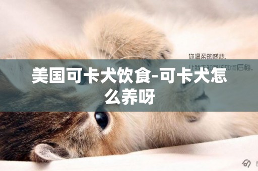 美國可卡犬飲食-可卡犬怎么養呀