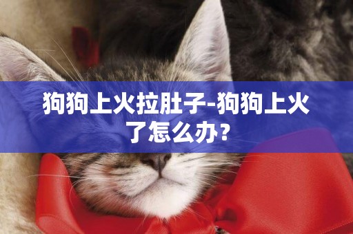 狗狗上火拉肚子-狗狗上火了怎么辦？