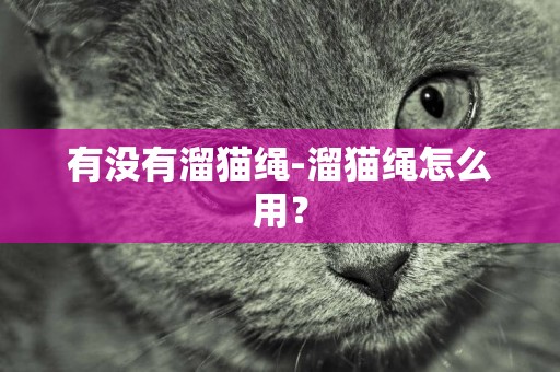 有沒有溜貓繩-溜貓繩怎么用？