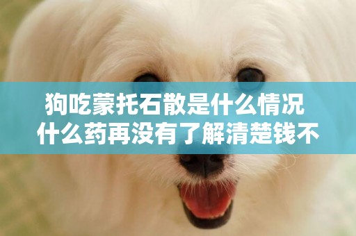 狗吃蒙托石散是什么情況 什么藥再沒有了解清楚錢不要喂狗