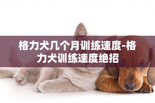 格力犬幾個月訓練速度-格力犬訓練速度絕招