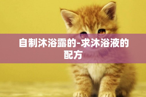 自制沐浴露的-求沐浴液的配方