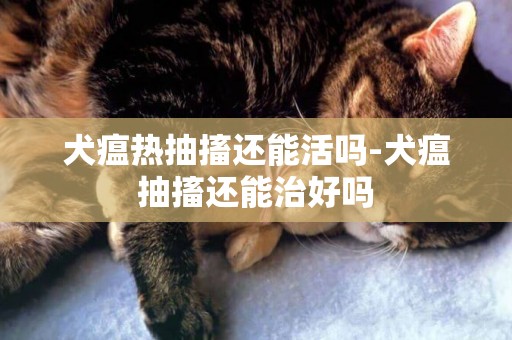 犬瘟熱抽搐還能活嗎-犬瘟抽搐還能治好嗎