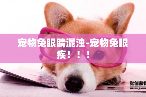 寵物兔眼睛混濁-寵物兔眼疾！！！