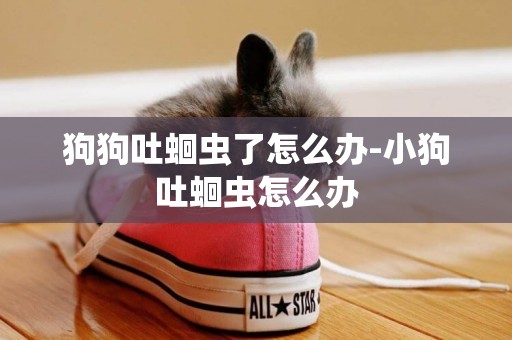 狗狗吐蛔蟲了怎么辦-小狗吐蛔蟲怎么辦