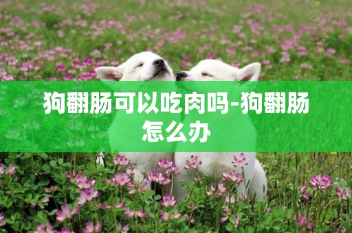 狗翻腸可以吃肉嗎-狗翻腸怎么辦