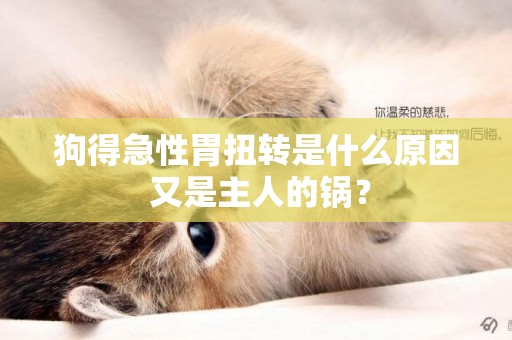 狗得急性胃扭轉是什么原因 又是主人的鍋？