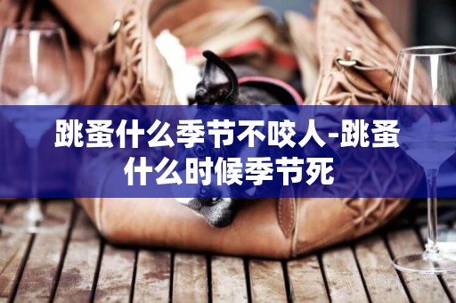 跳蚤什么季節不咬人-跳蚤什么時候季節死