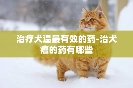 治療犬溫最有效的藥-治犬瘟的藥有哪些