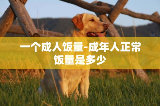 一個成人飯量-成年人正常飯量是多少