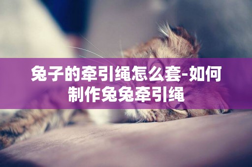 兔子的牽引繩怎么套-如何制作兔兔牽引繩
