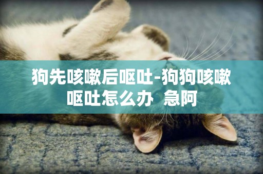 狗先咳嗽后嘔吐-狗狗咳嗽嘔吐怎么辦  急阿