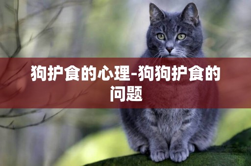 狗護食的心理-狗狗護食的問題