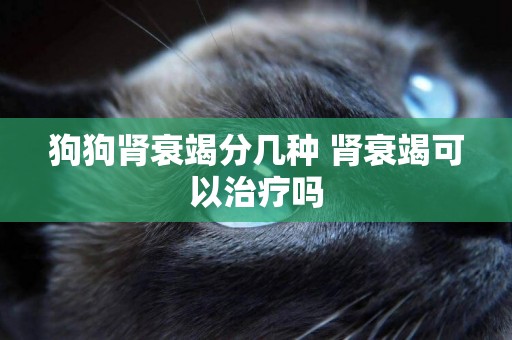 狗狗腎衰竭分幾種 腎衰竭可以治療嗎