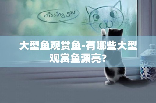 大型魚觀賞魚-有哪些大型觀賞魚漂亮？