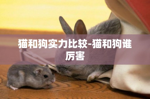貓和狗實力比較-貓和狗誰厲害