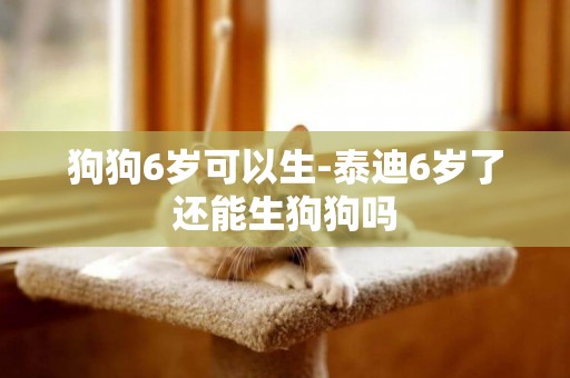 狗狗6歲可以生-泰迪6歲了還能生狗狗嗎