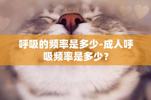 呼吸的頻率是多少-成人呼吸頻率是多少？