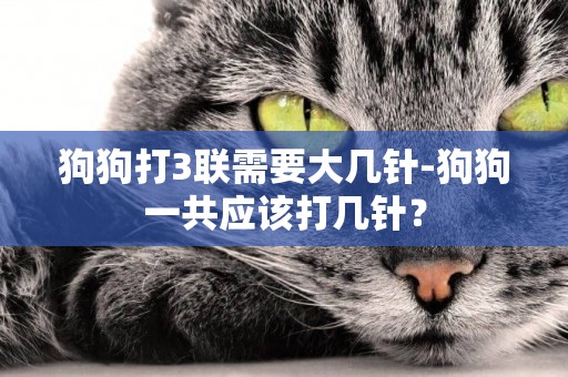 狗狗打3聯需要大幾針-狗狗一共應該打幾針？