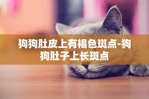 狗狗肚皮上有褐色斑點-狗狗肚子上長斑點