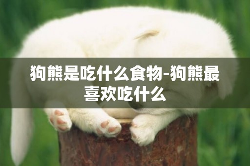狗熊是吃什么食物-狗熊最喜歡吃什么