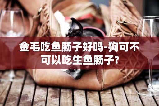 金毛吃魚腸子好嗎-狗可不可以吃生魚腸子?