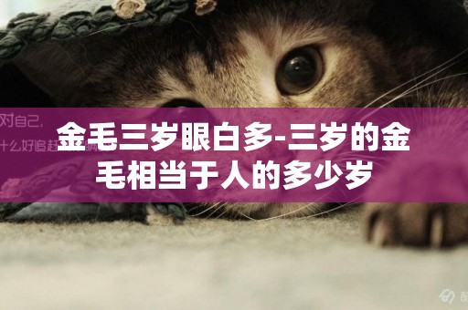 金毛三歲眼白多-三歲的金毛相當于人的多少歲