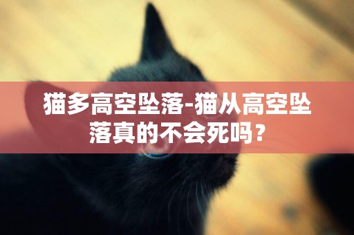 貓多高空墜落-貓從高空墜落真的不會死嗎？