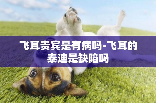 飛耳貴賓是有病嗎-飛耳的泰迪是缺陷嗎