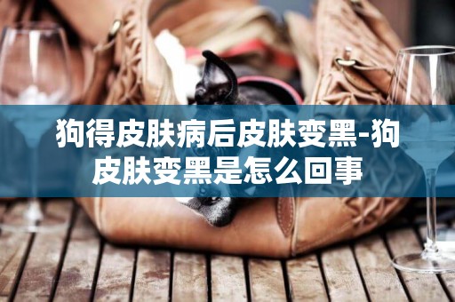 狗得皮膚病后皮膚變黑-狗皮膚變黑是怎么回事