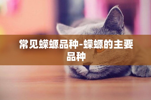 常見蠑螈品種-蠑螈的主要品種
