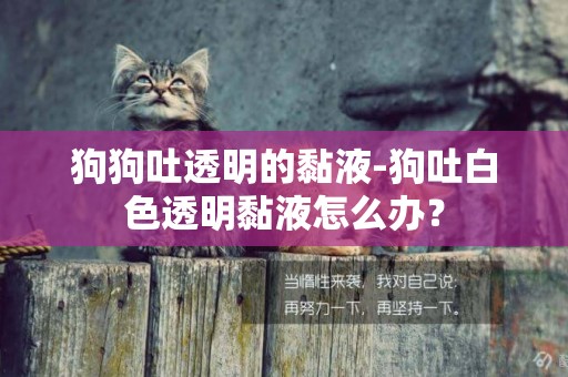 狗狗吐透明的黏液-狗吐白色透明黏液怎么辦？