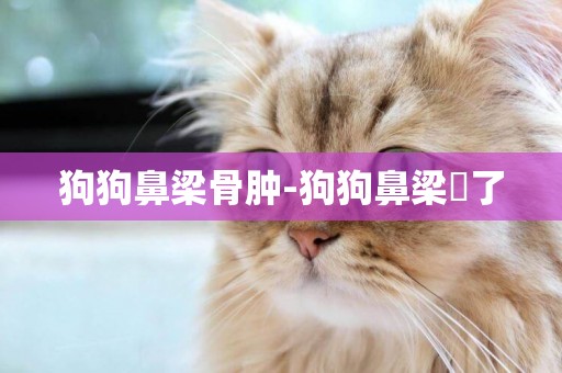 狗狗鼻梁骨腫-狗狗鼻梁腫了
