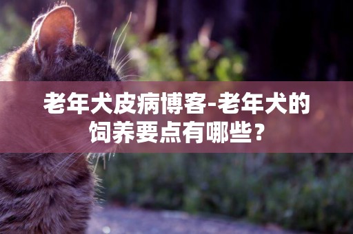 老年犬皮病博客-老年犬的飼養要點有哪些？