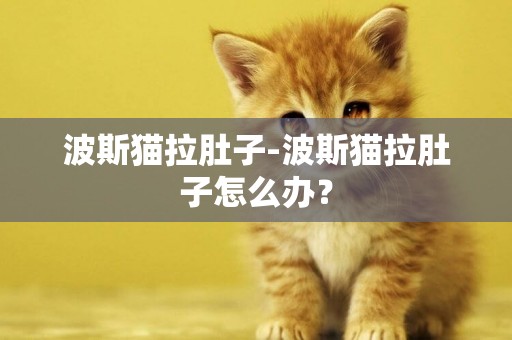 波斯貓拉肚子-波斯貓拉肚子怎么辦？