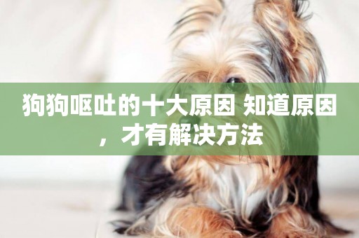 狗狗嘔吐的十大原因 知道原因，才有解決方法